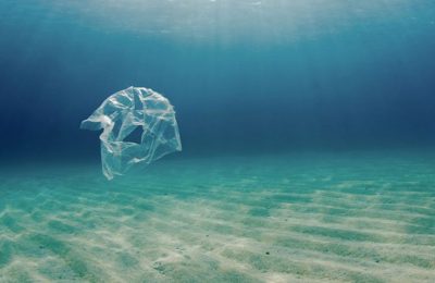 Meet Anna, the 11-year-old Activist Saving the Ocean!