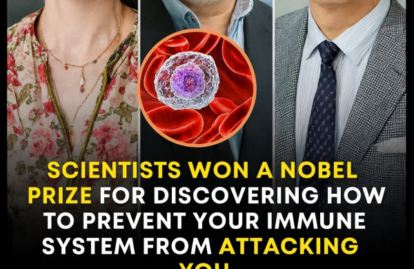 nobelova nagrada 2025 imunologija, multipla skleroza